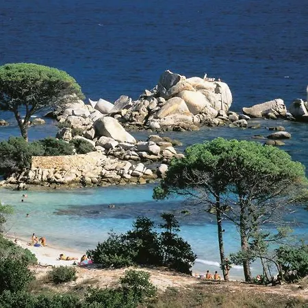 Mini Vue Mer Plage De Palombaggia