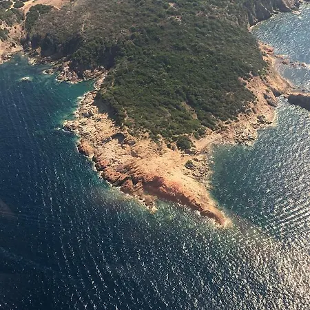 Mini Vue Mer Plage De Palombaggia