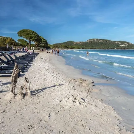 Mini Vue Mer Plage De Palombaggia * 维琪奥港